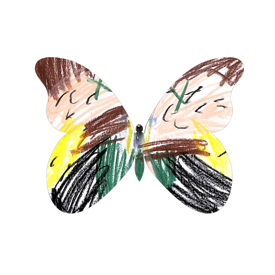 Original Butterfly Image