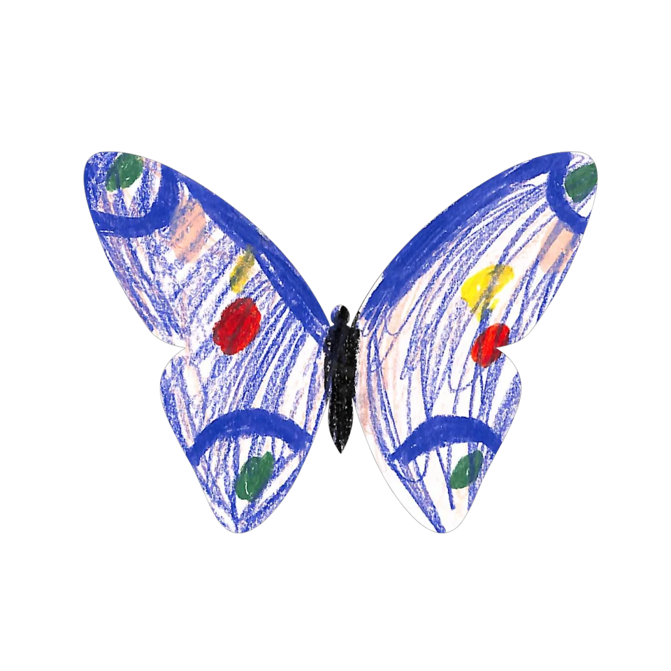 Original Butterfly Image