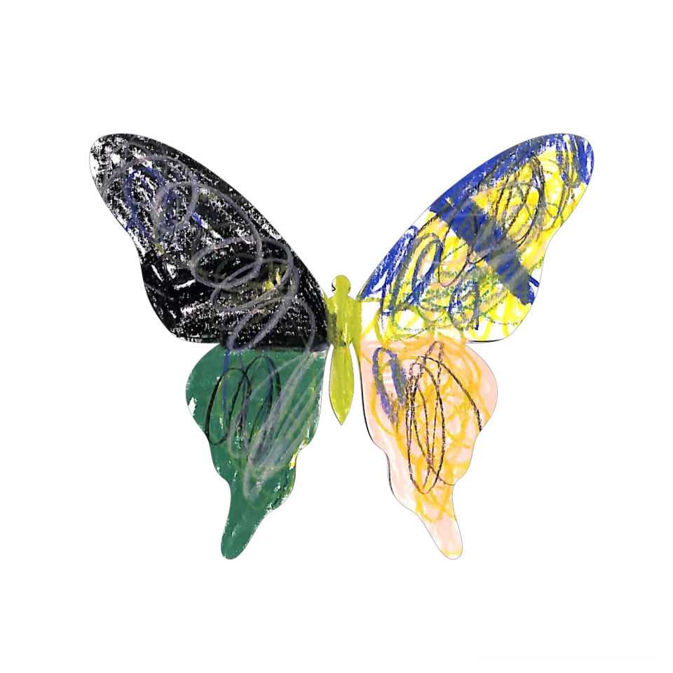 Original Butterfly Image