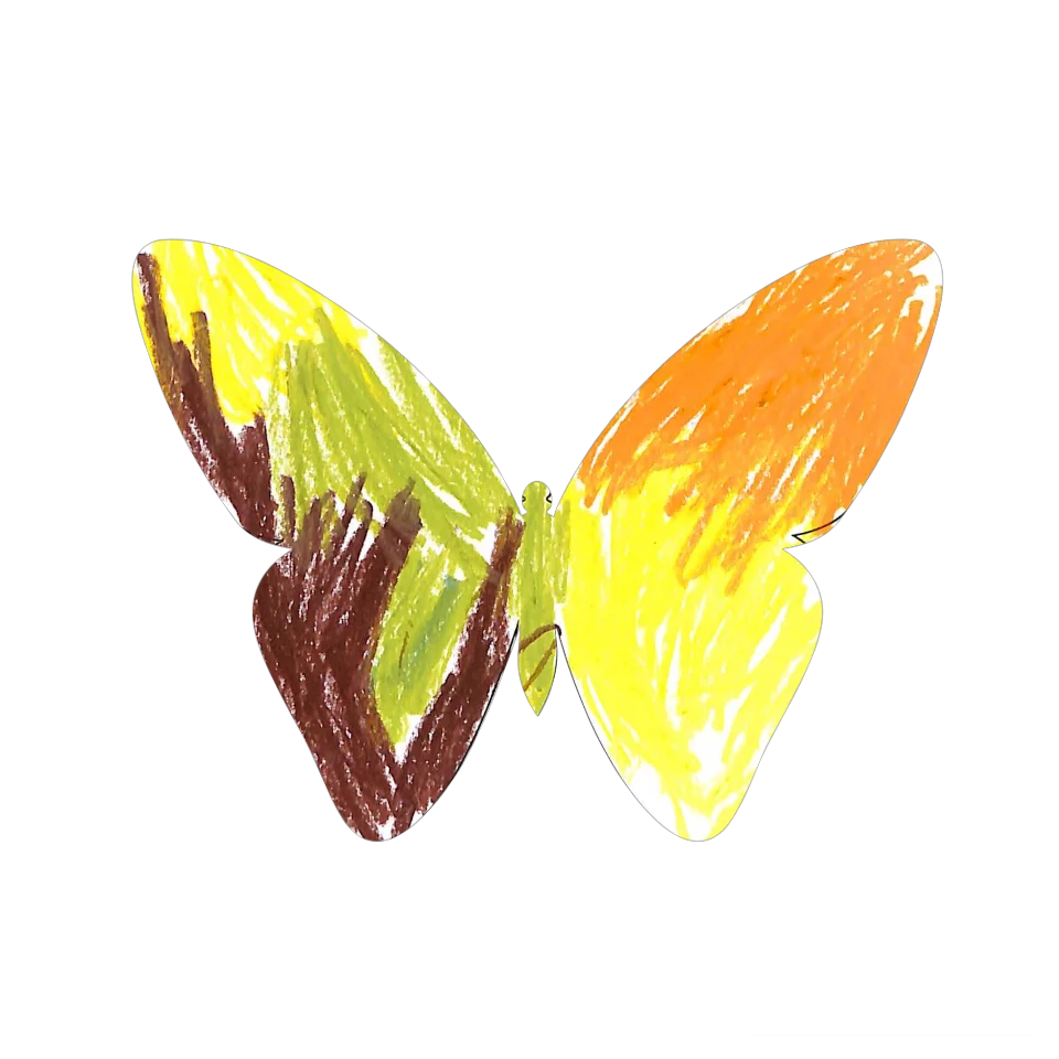 Original Butterfly Image