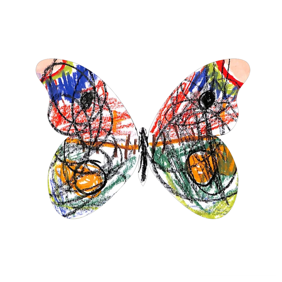 Original Butterfly Image