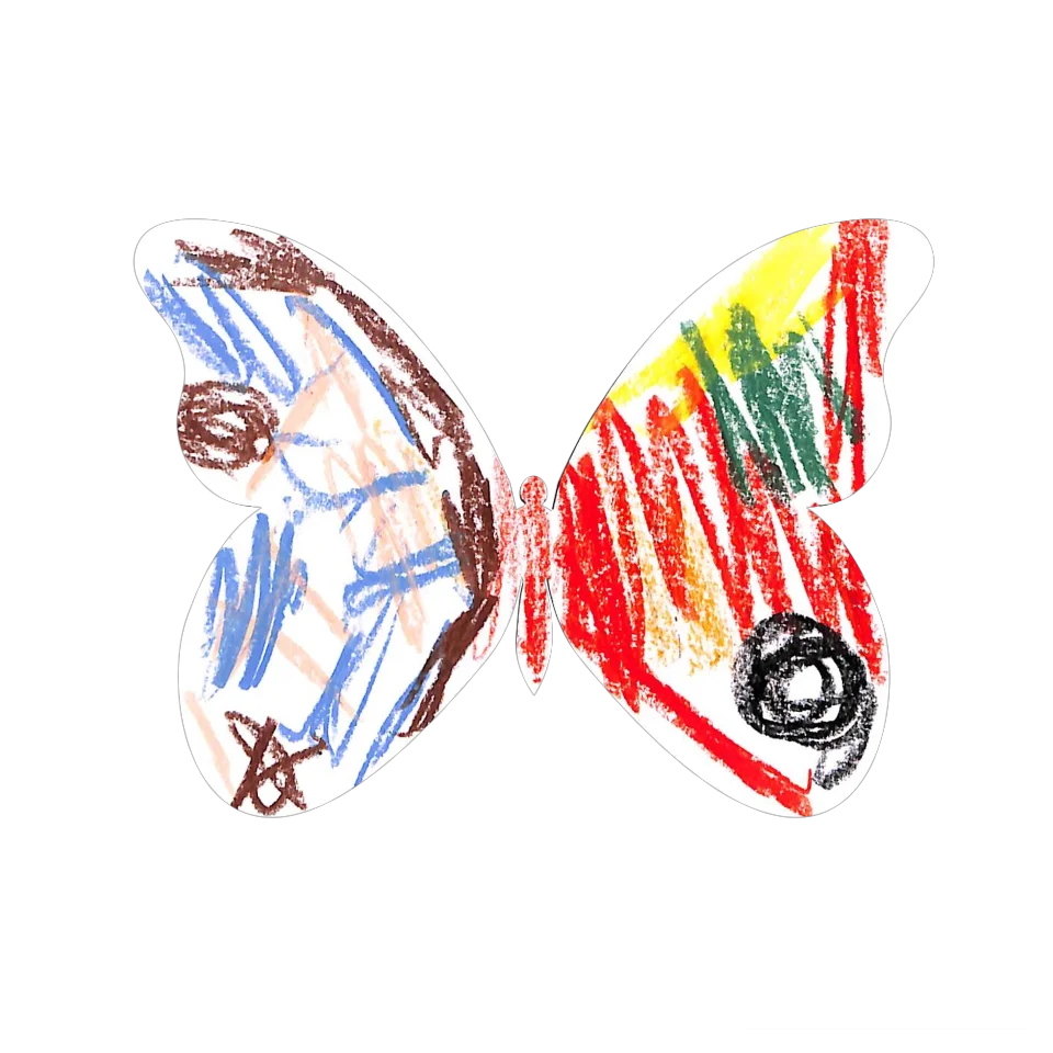 Original Butterfly Image