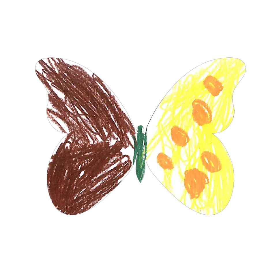Original Butterfly Image