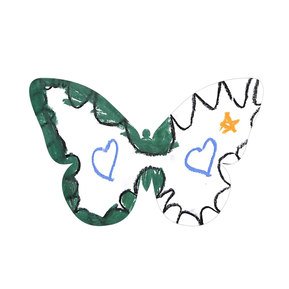 Original Butterfly Image