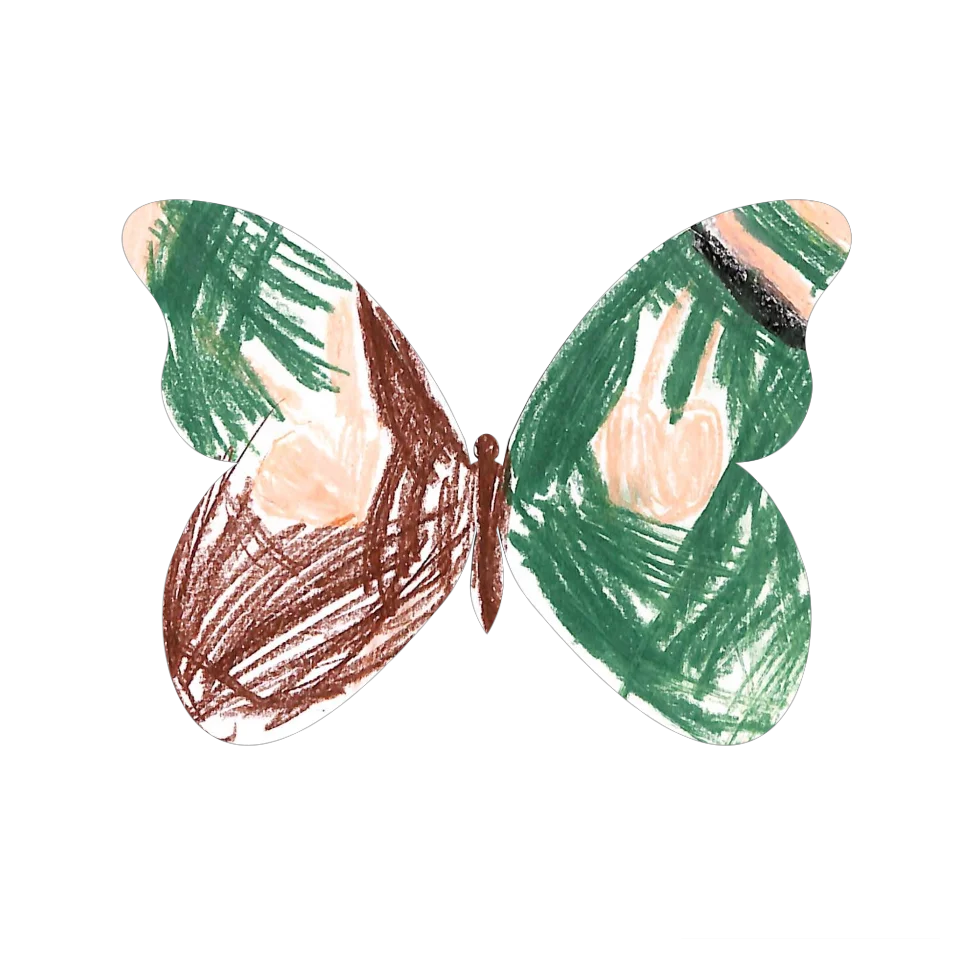 Original Butterfly Image
