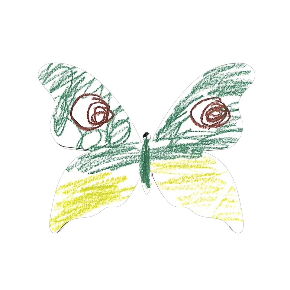 Original Butterfly Image