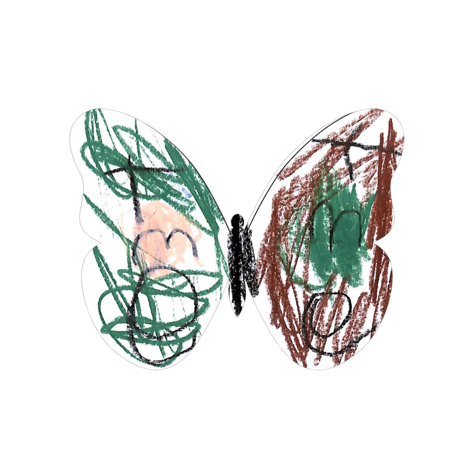 Original Butterfly Image
