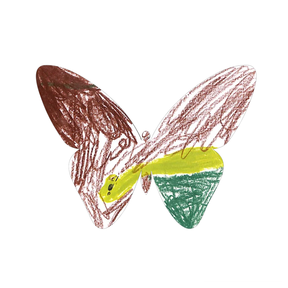 Original Butterfly Image