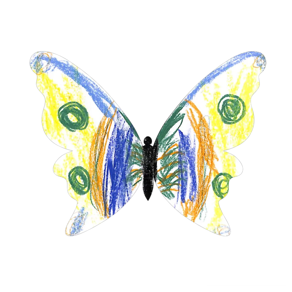 Original Butterfly Image