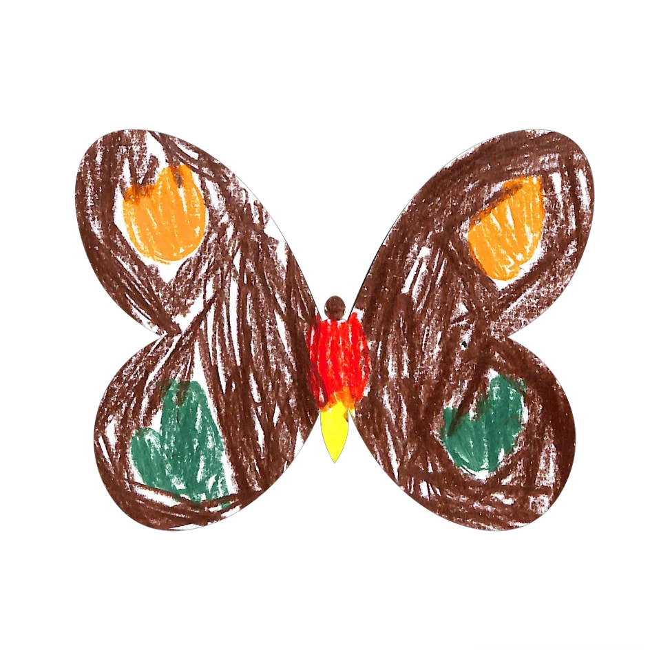 Original Butterfly Image