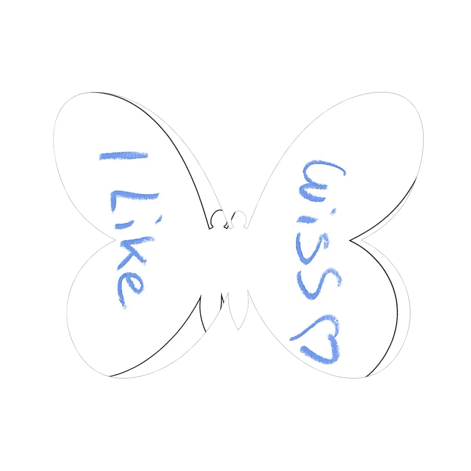Original Butterfly Image
