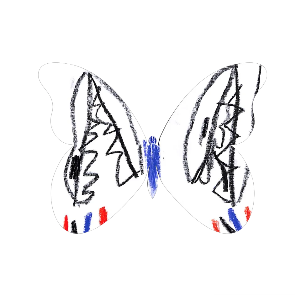 Original Butterfly Image