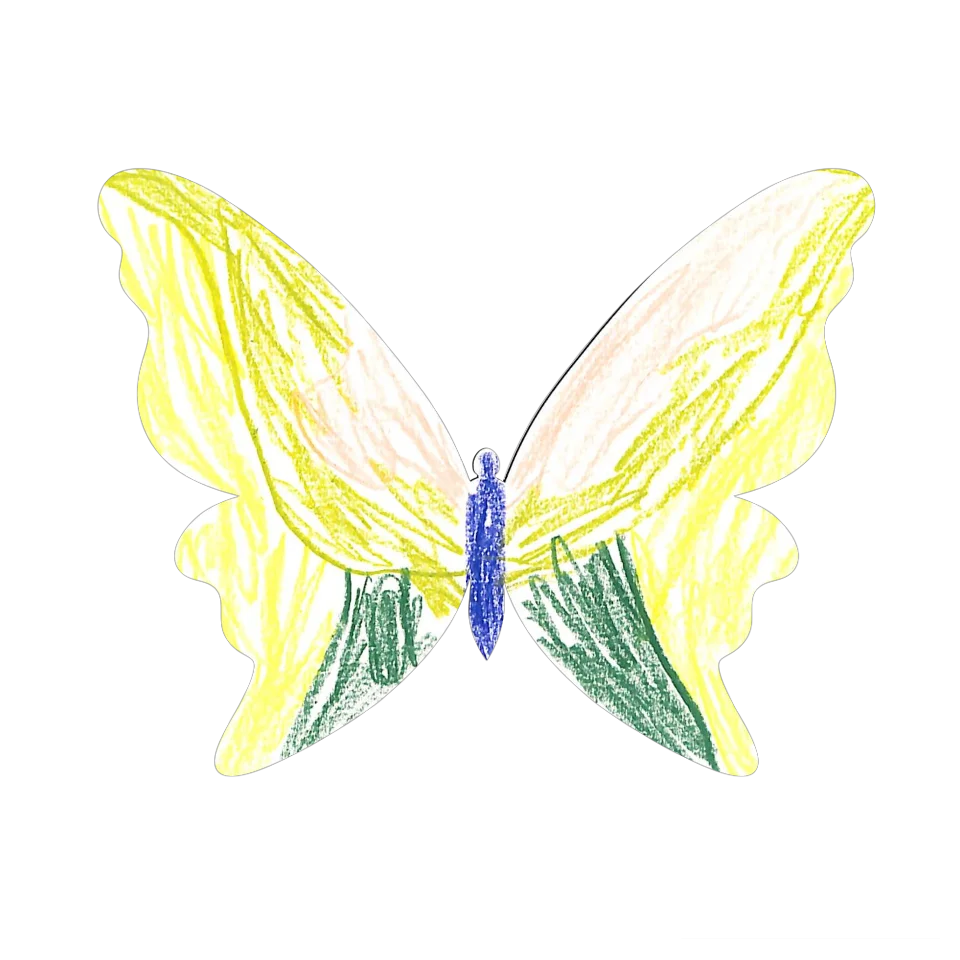 Original Butterfly Image