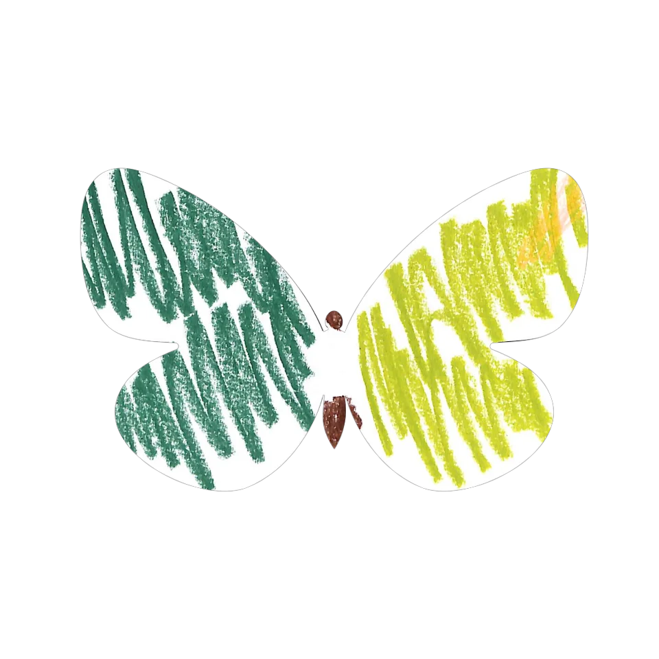 Original Butterfly Image