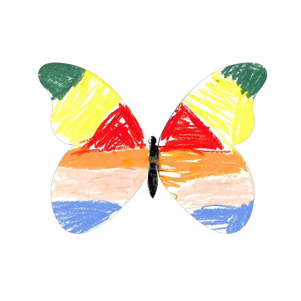 Original Butterfly Image