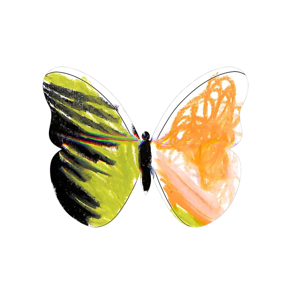 Original Butterfly Image