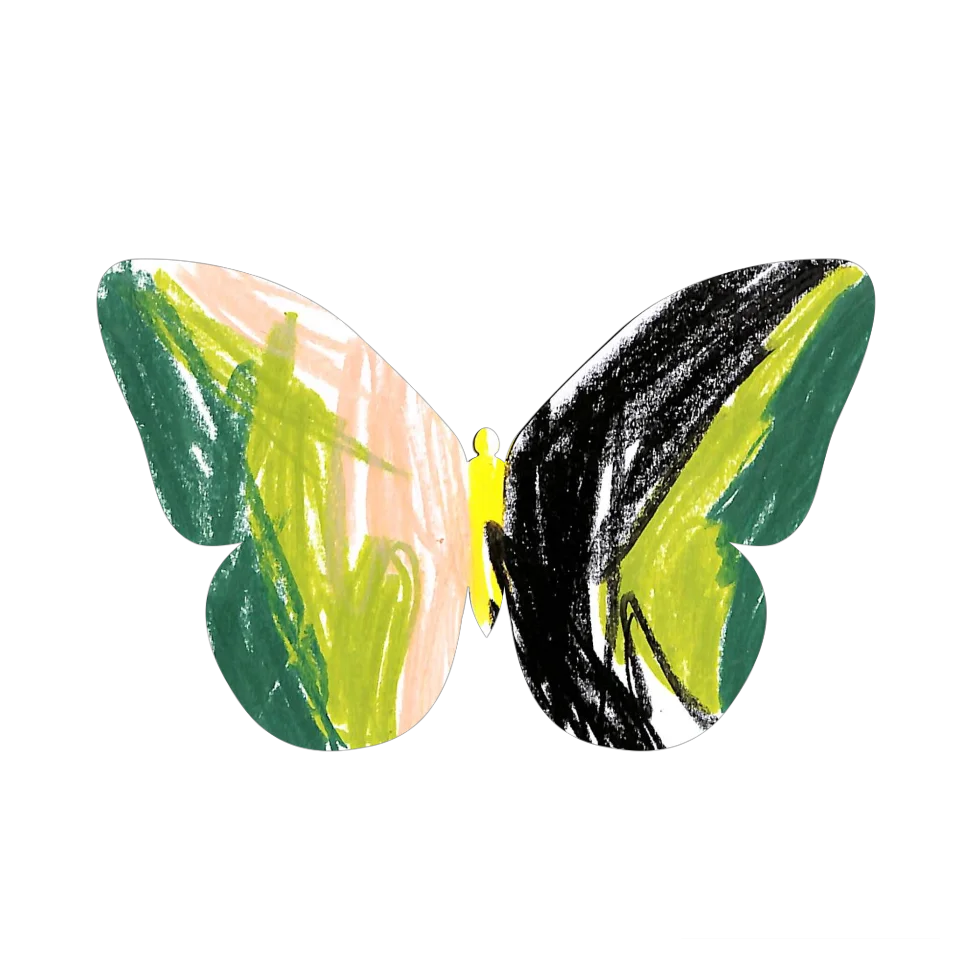 Original Butterfly Image