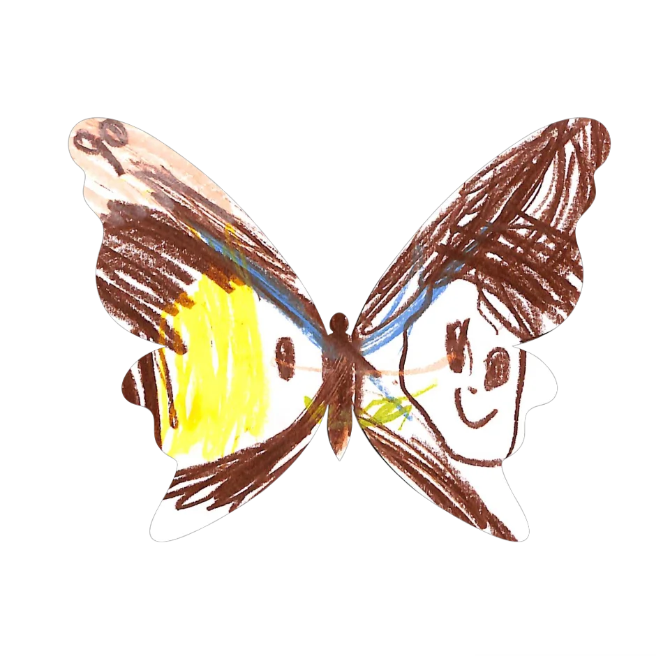 Original Butterfly Image