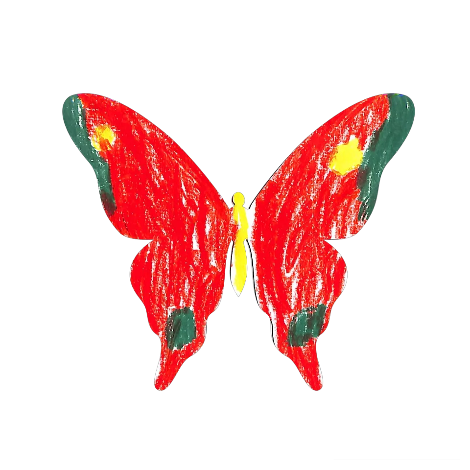 Original Butterfly Image