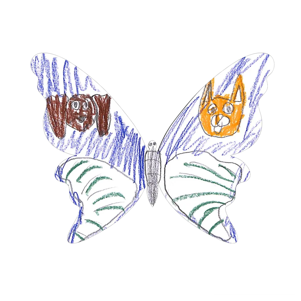 Original Butterfly Image