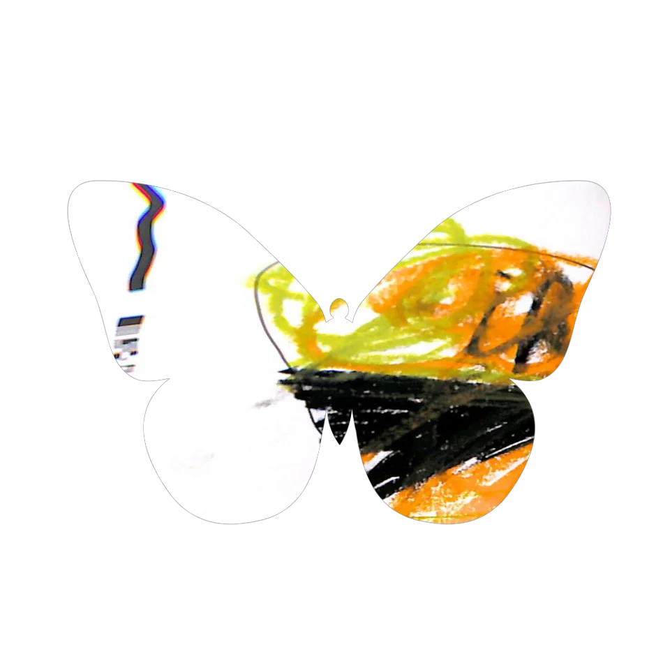 Original Butterfly Image