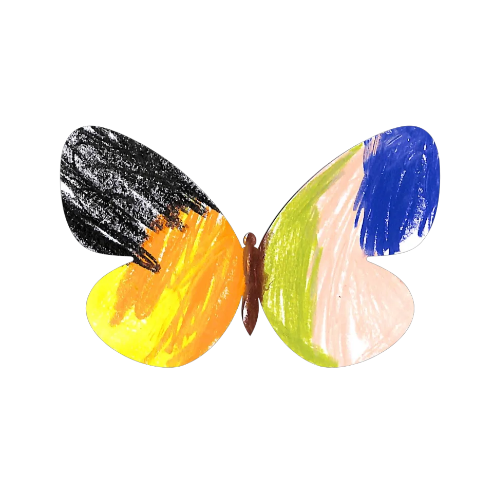 Original Butterfly Image