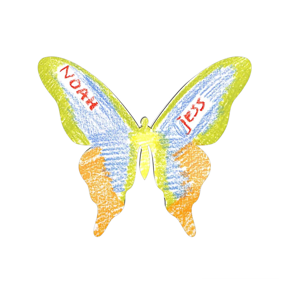 Original Butterfly Image