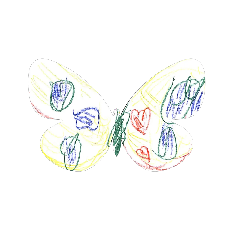 Original Butterfly Image