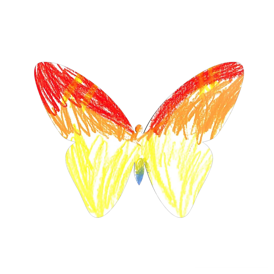 Original Butterfly Image