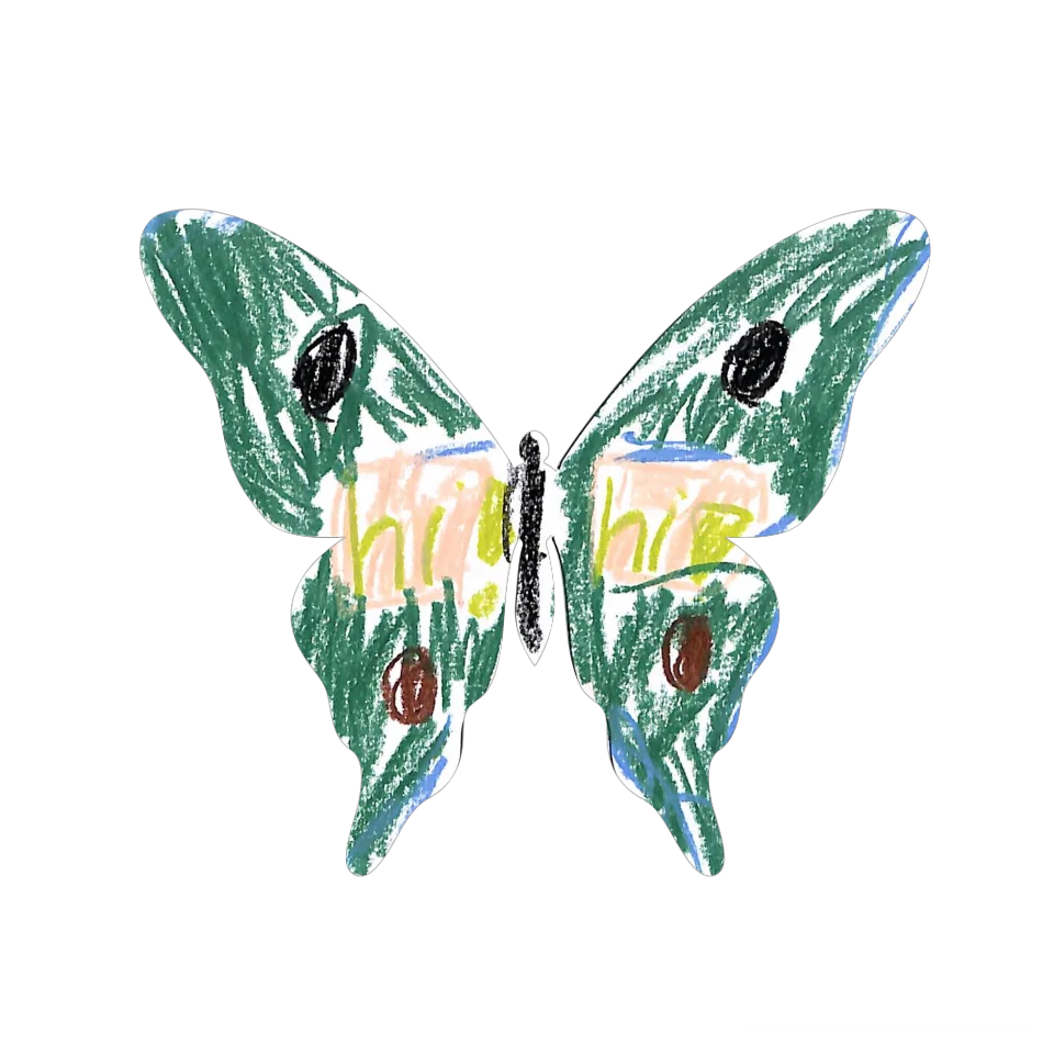 Original Butterfly Image