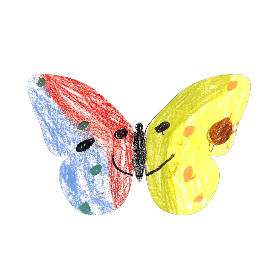 Original Butterfly Image