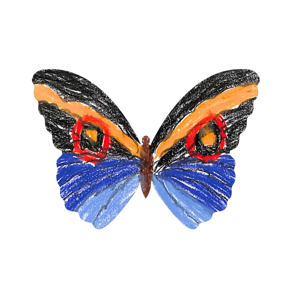 Original Butterfly Image