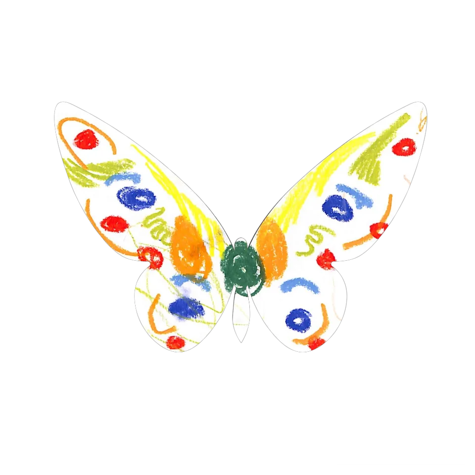 Original Butterfly Image