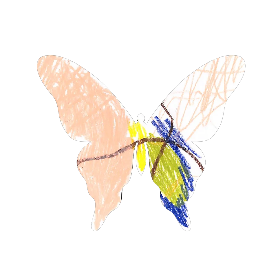 Original Butterfly Image