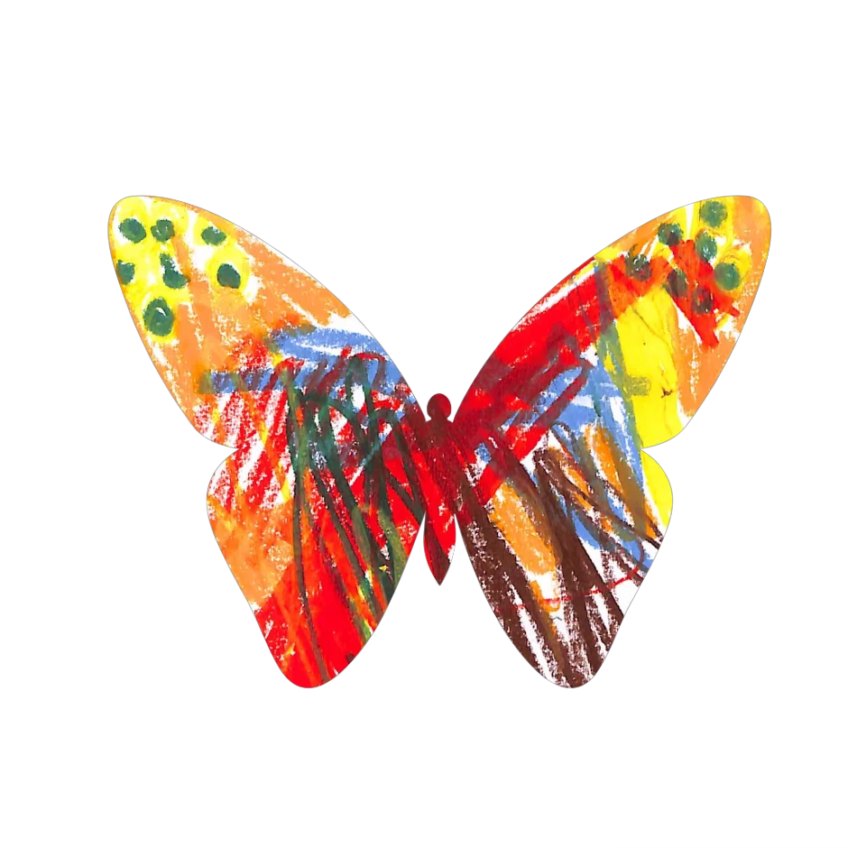 Original Butterfly Image
