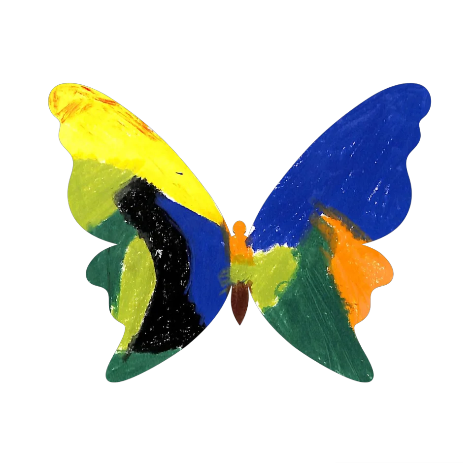Original Butterfly Image