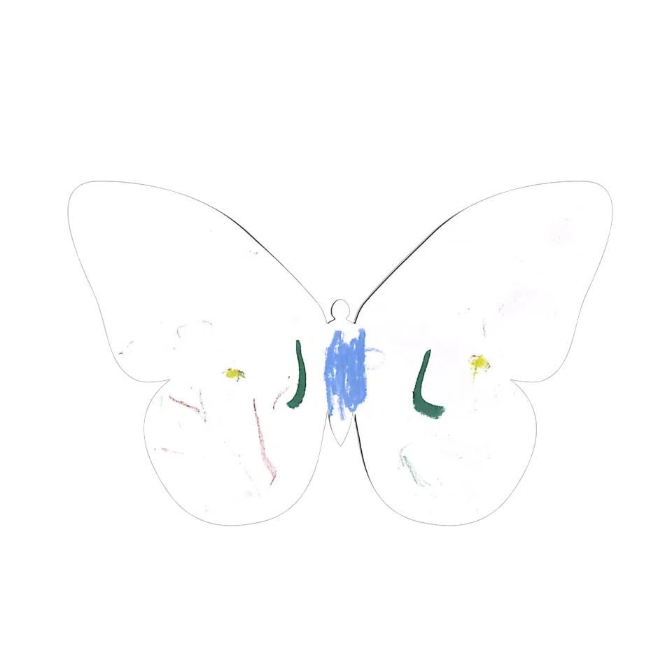 Original Butterfly Image