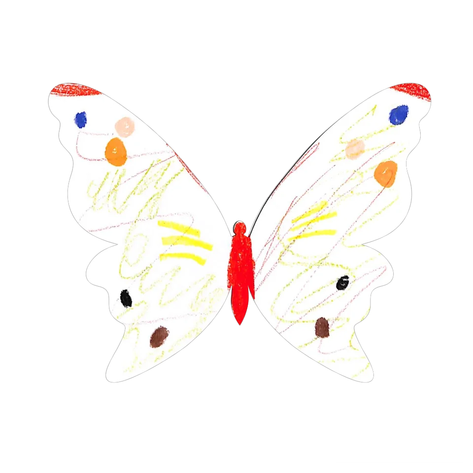 Original Butterfly Image