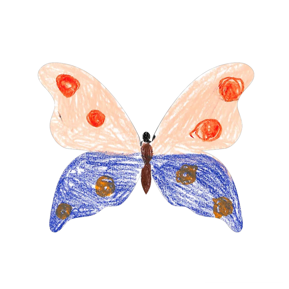 Original Butterfly Image