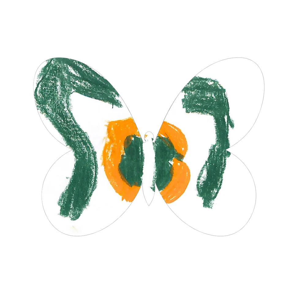 Original Butterfly Image