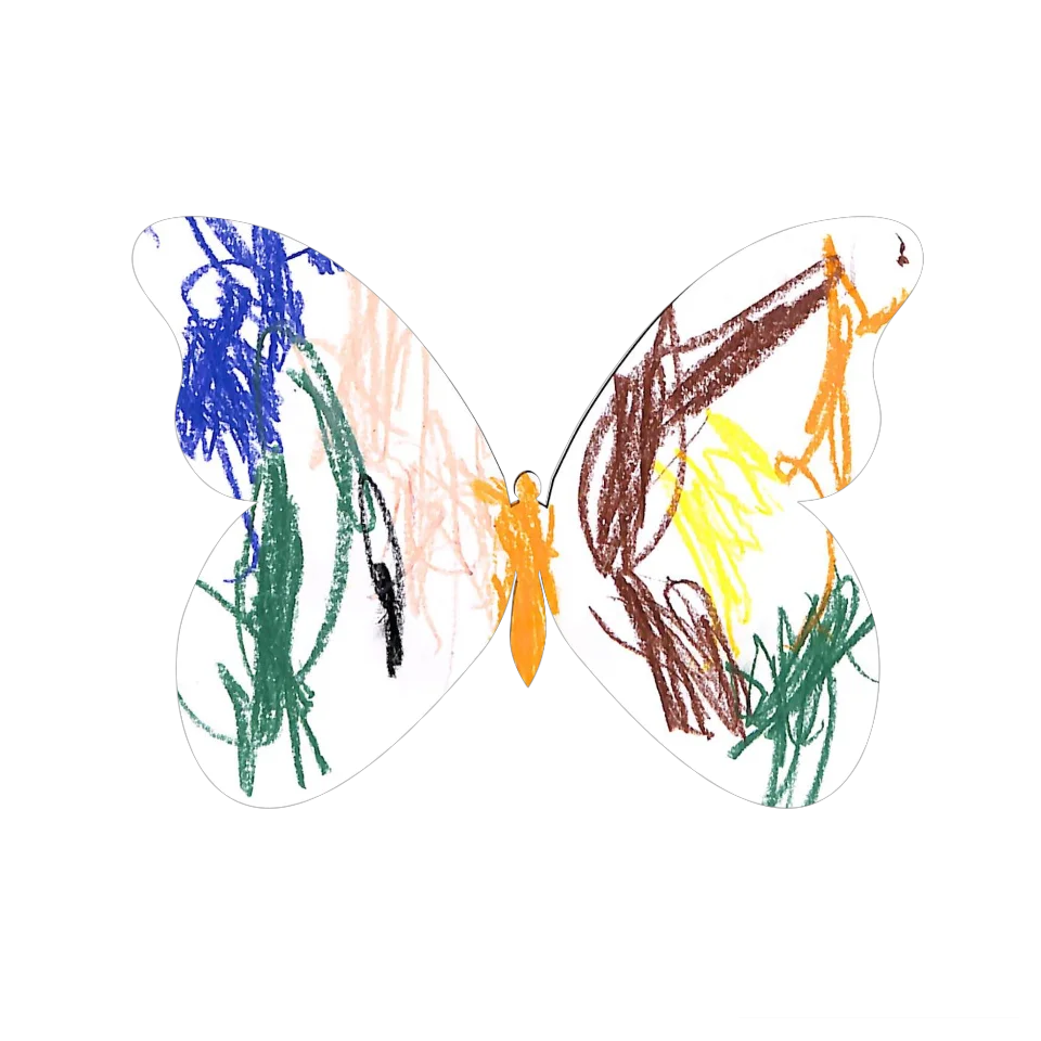 Original Butterfly Image