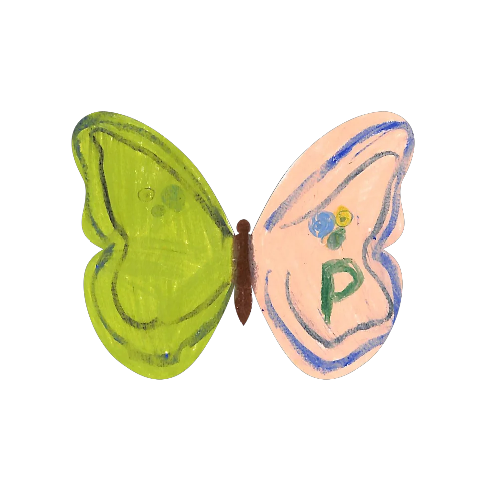 Original Butterfly Image