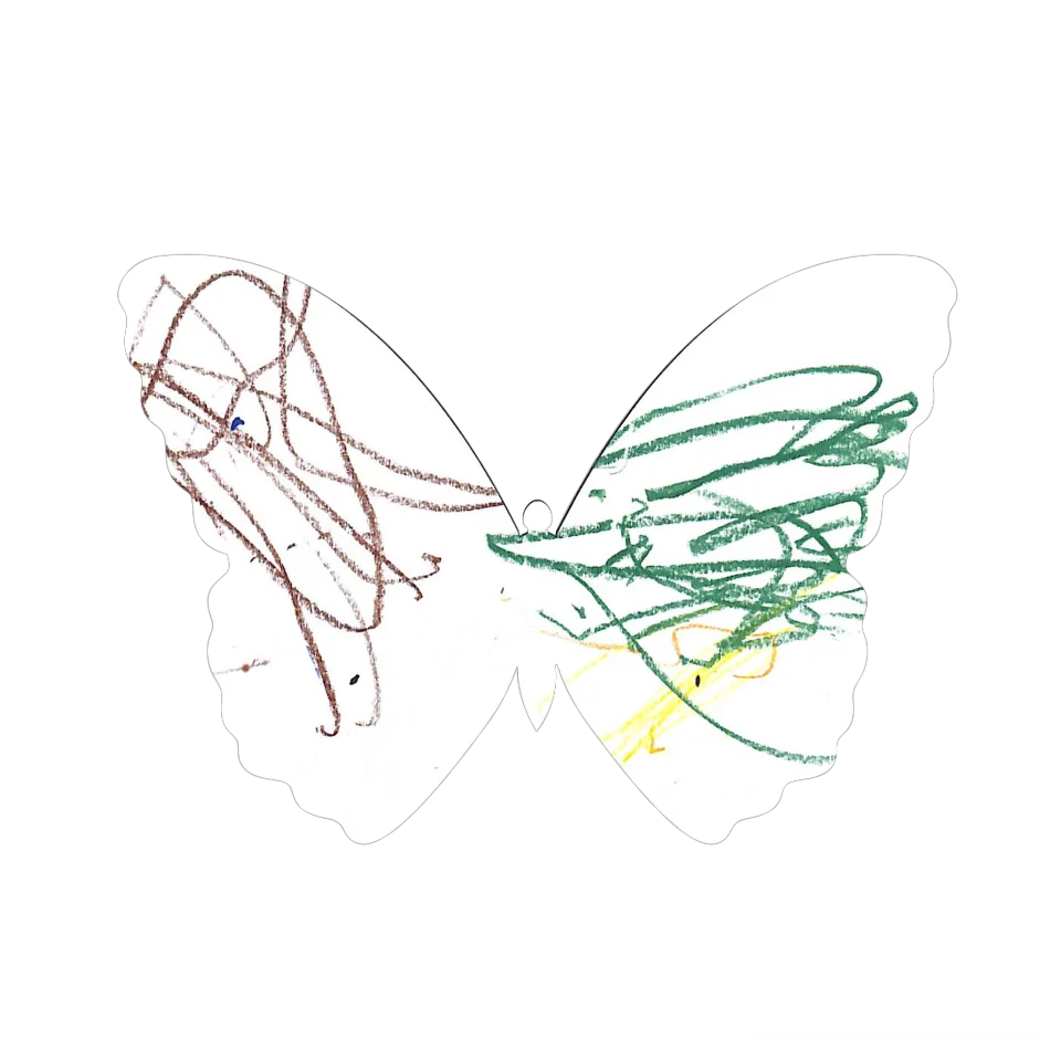 Original Butterfly Image