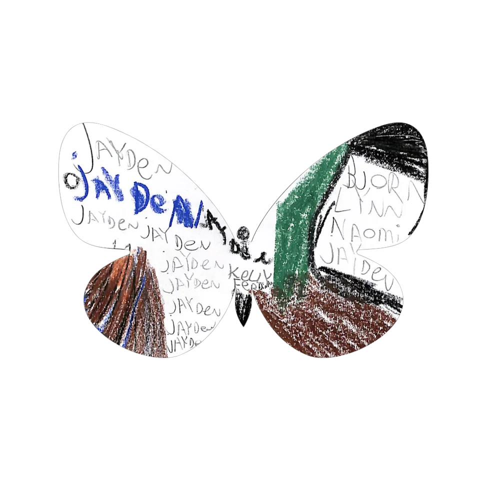 Original Butterfly Image