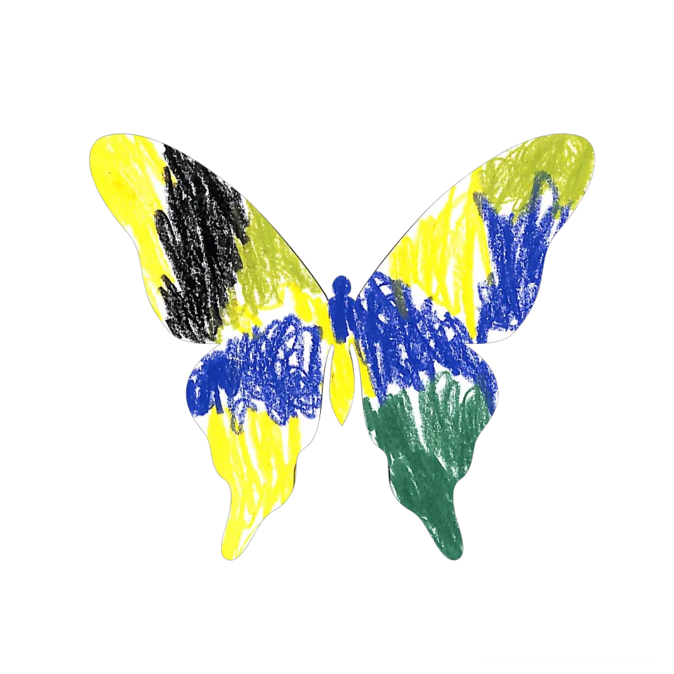 Original Butterfly Image