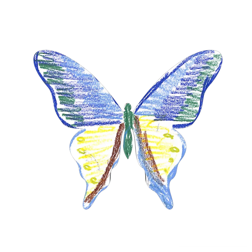 Original Butterfly Image