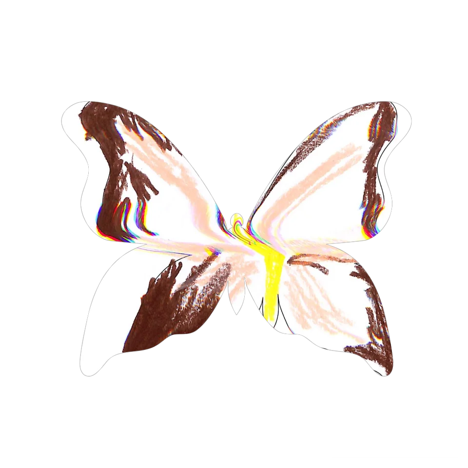 Original Butterfly Image
