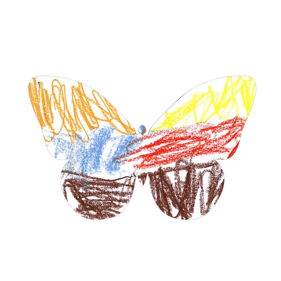 Original Butterfly Image