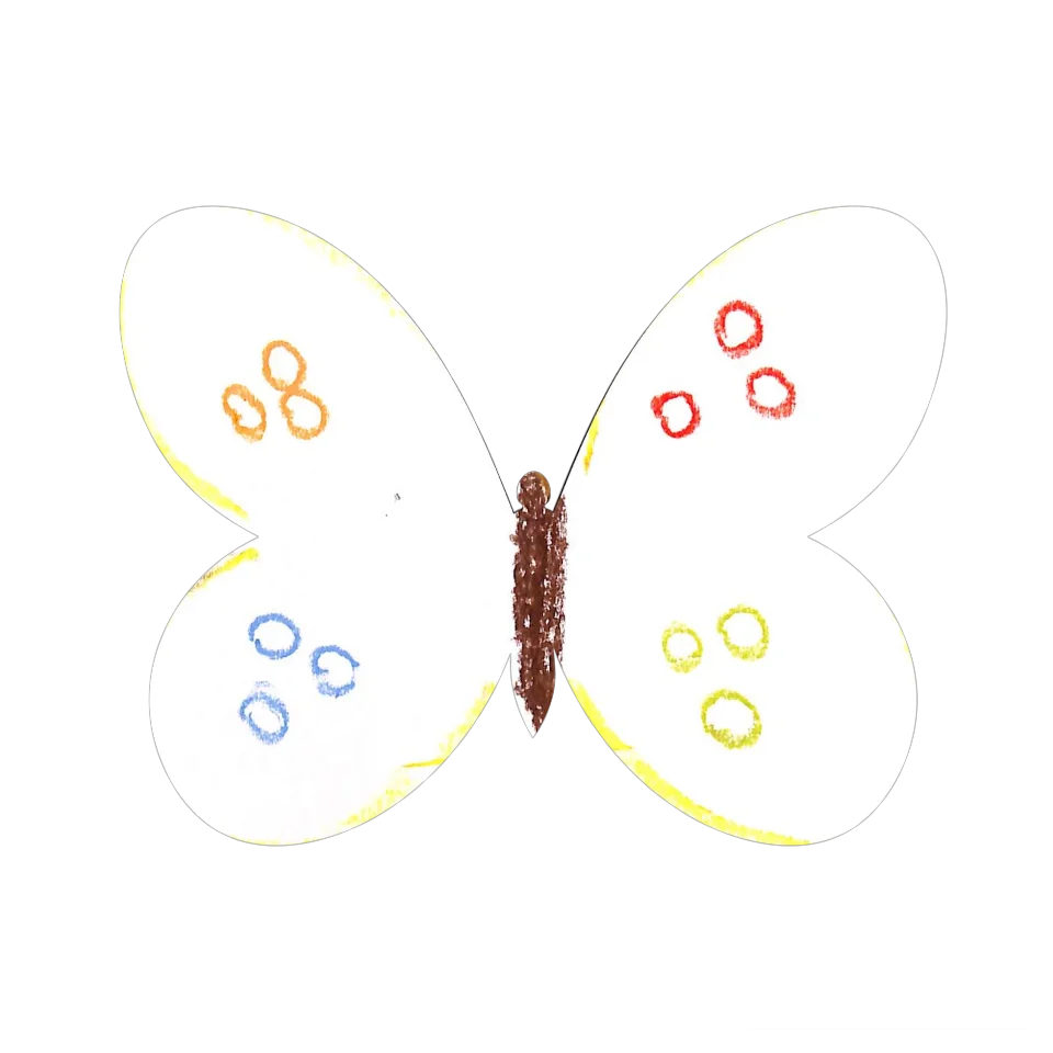 Original Butterfly Image