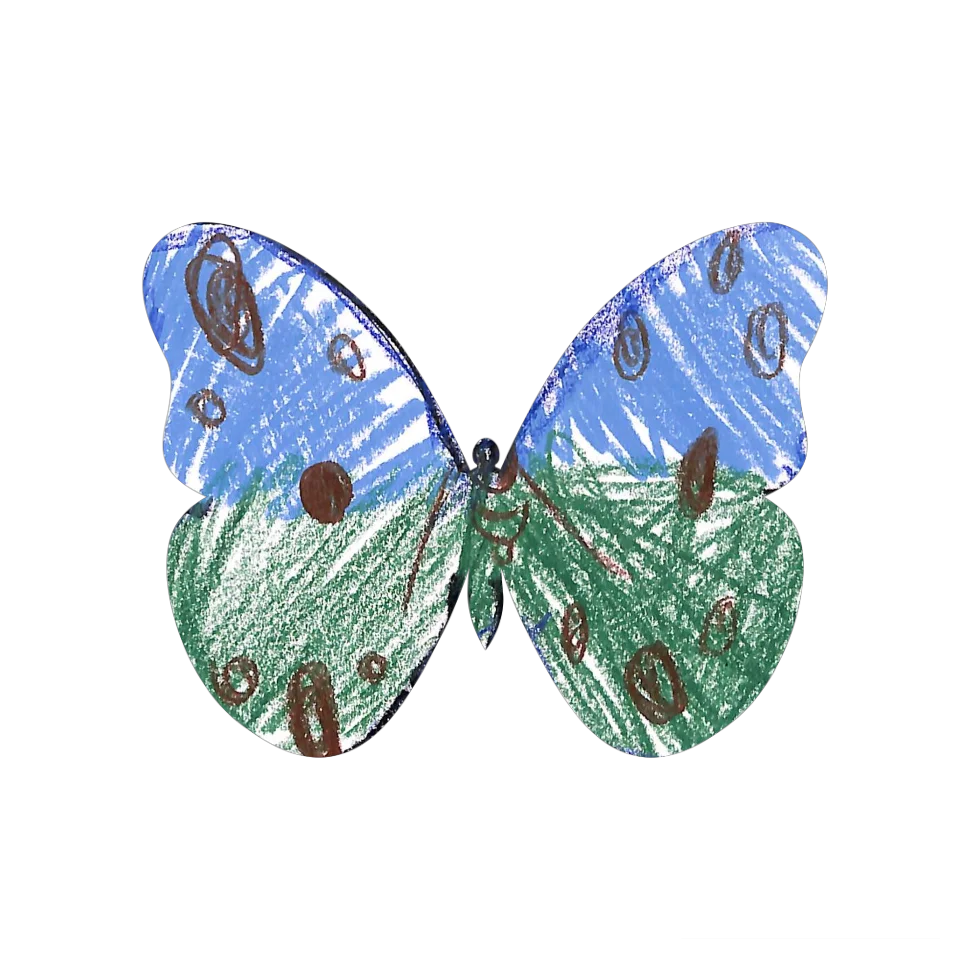 Original Butterfly Image